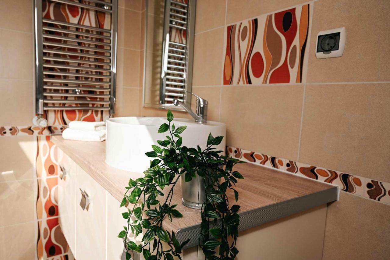 The View Penthouse Apartment Brasov Bagian luar foto